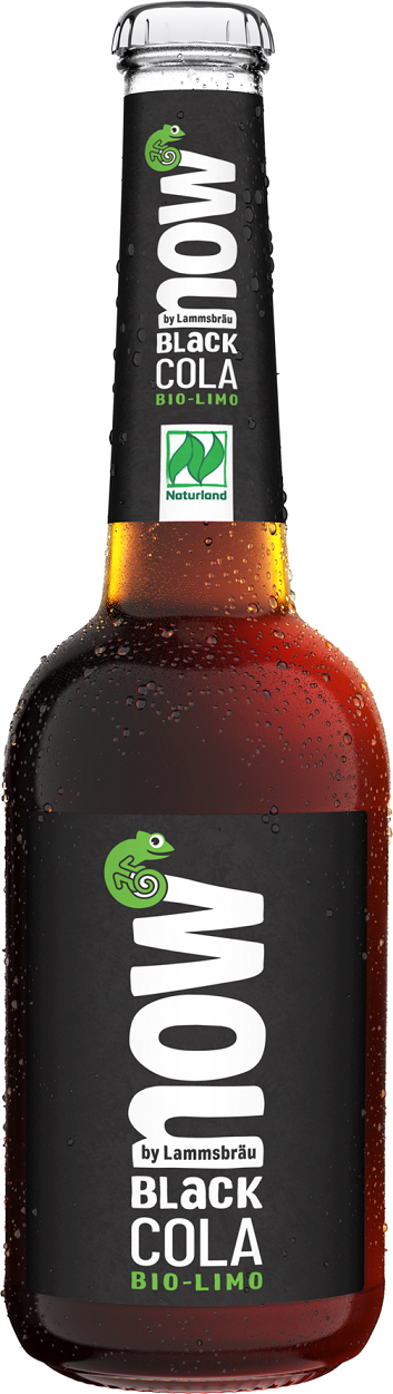 BLACK COLA (Z GUARANĄ) BIO 330 ml - NOW
