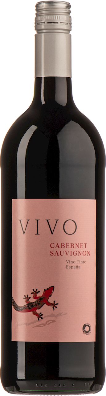 WINO CZERWONE WYTRAWNE CABERNET SAUVIGNON BIO 1 L (HISZPANIA) - PAGO...