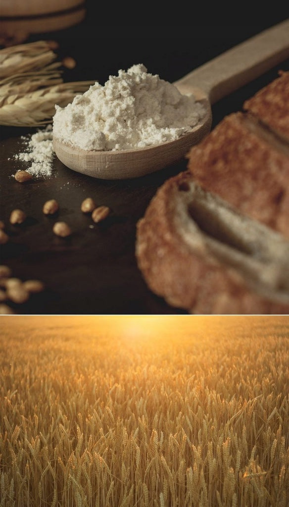 MĄKA KOKOSOWA Melvit BEZGLUTENOWA coconut flour 1 KG