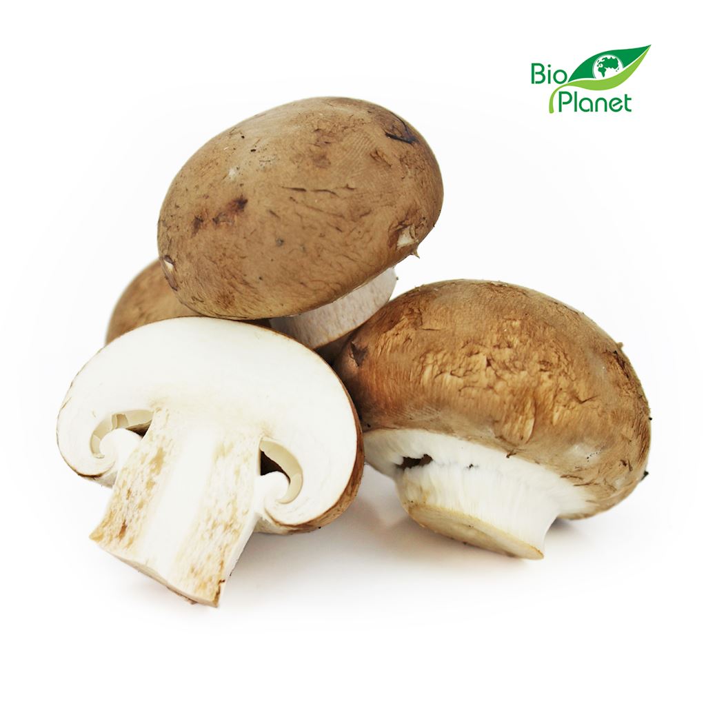 OPAKOWANIE ZBIORCZE (kg) - PIECZARKI BRĄZOWE ŚWIEŻE BIO (POLSKA)...