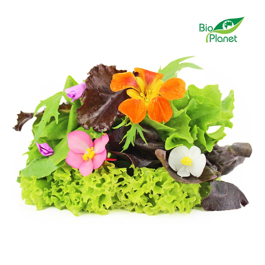 MIX SAŁAT ŚWIEŻY NIEMYTY BIO (POLSKA) (około 0,10 kg)