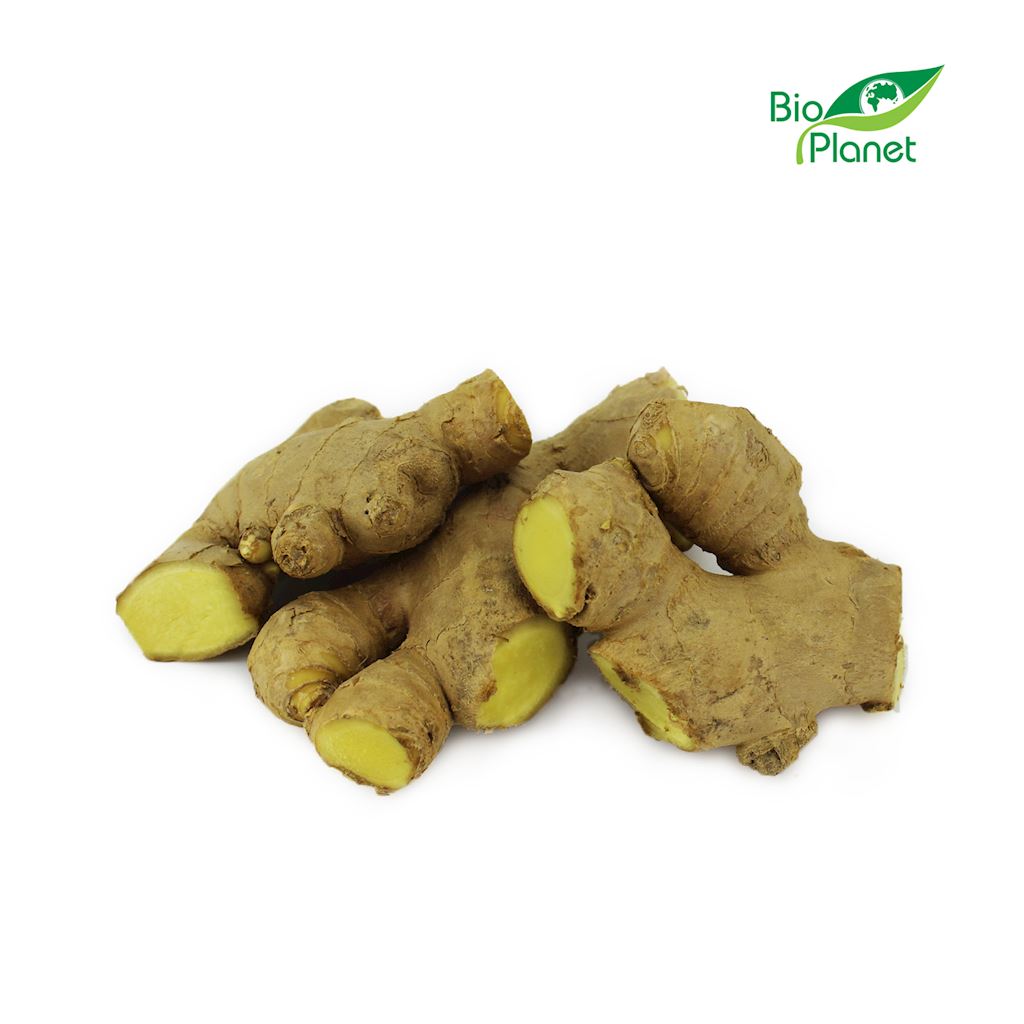 OPAKOWANIE ZBIORCZE (kg) - IMBIR ŚWIEŻY BIO (około 5 kg)