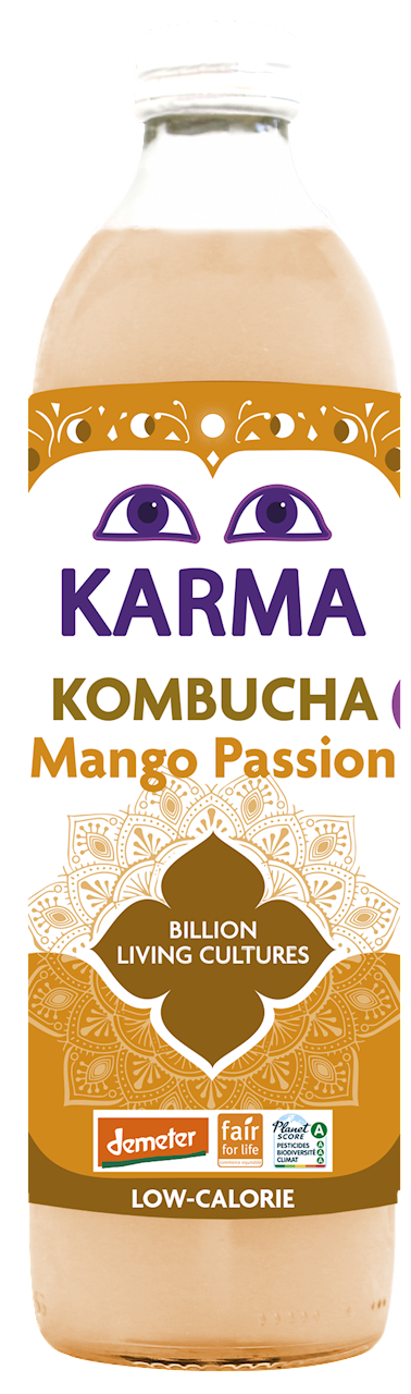 KOMBUCHA Z MANGO I MARAKUJĄ FAIR FOR LIFE DEMETER BIO 500 ml - KARMA