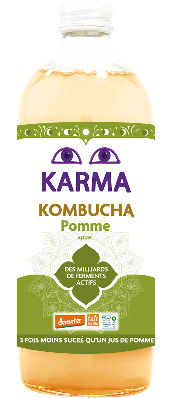 KOMBUCHA Z JABŁKIEM FAIR FOR LIFE DEMETER BIO 1 L - KARMA