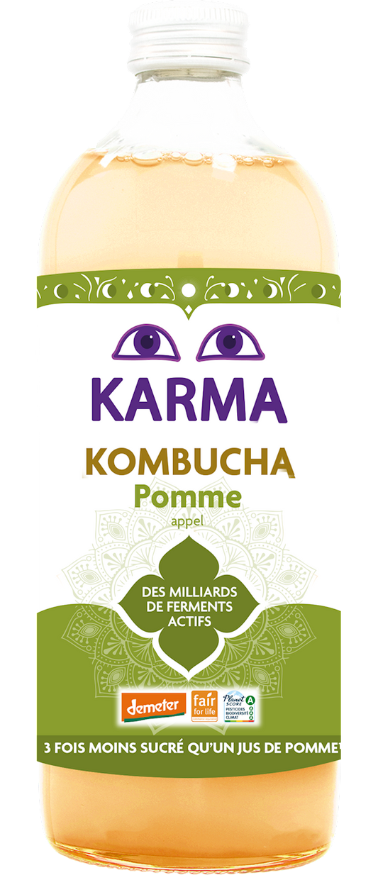 KOMBUCHA Z JABŁKIEM FAIR FOR LIFE DEMETER BIO 1 L - KARMA
