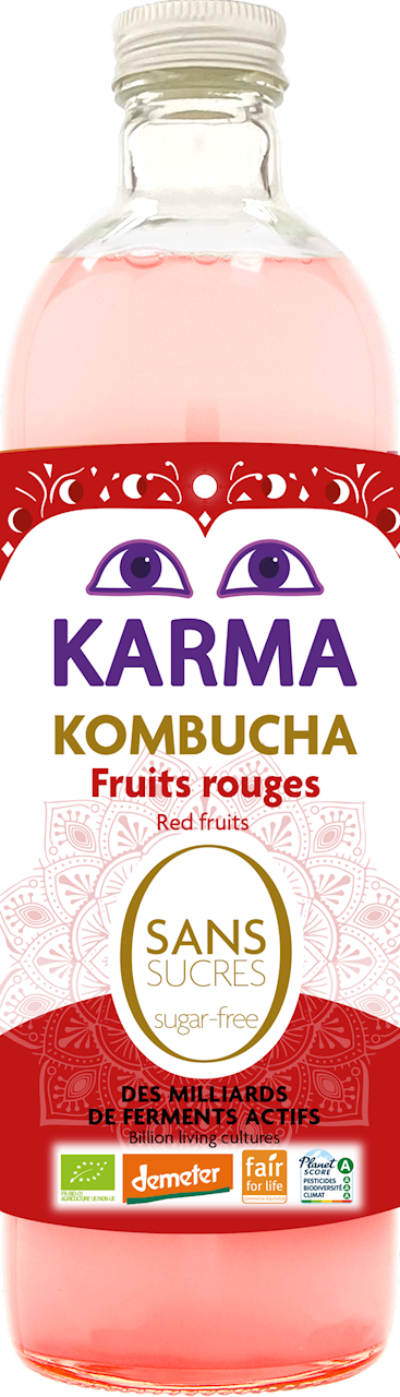 KOMBUCHA Z CZERWONYMI OWOCAMI BEZ CUKRU FAIR FOR LIFE DEMETER BIO 750...