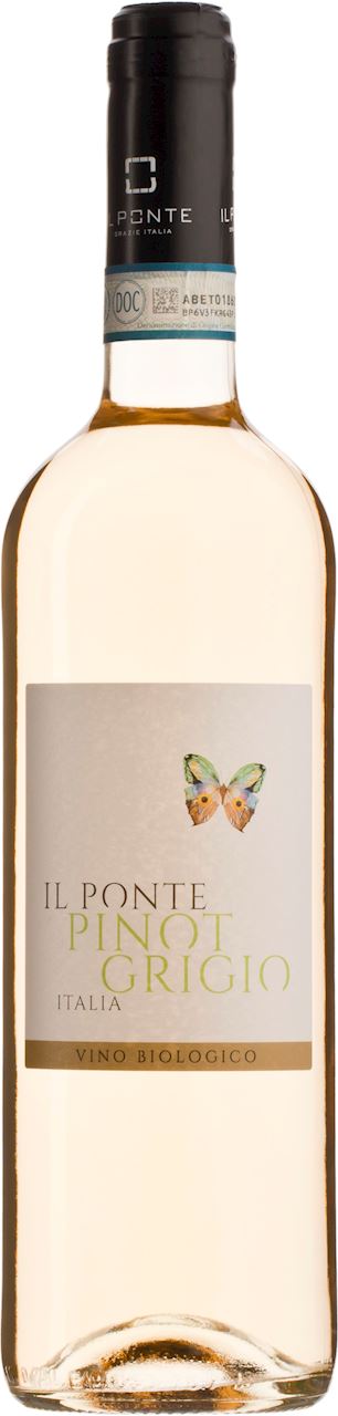 WINO BIAŁE WYTRAWNE PINOT GRIGIO BIO 0,75 L (WŁOCHY) - IL PONTE