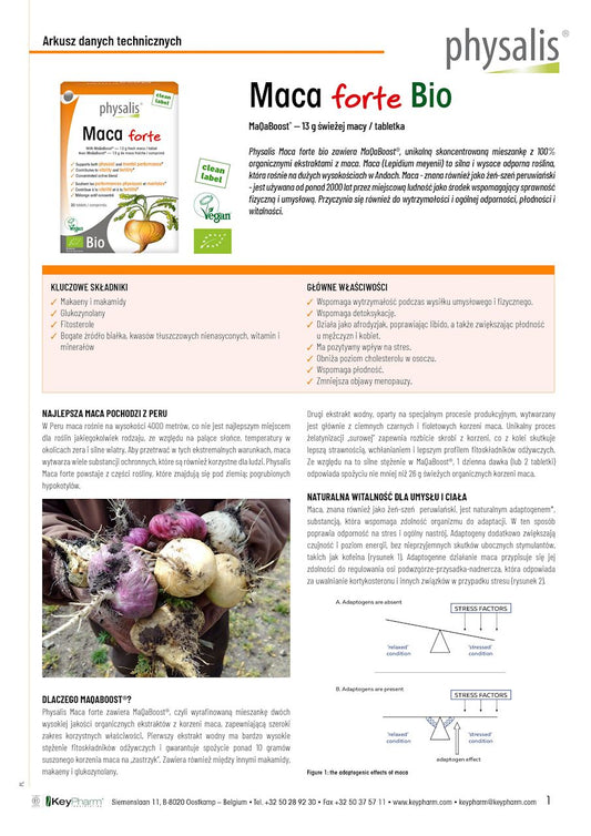MACA FORTE EKSTRAKT BIO (650 mg) 30 TABLETEK - PHYSALIS