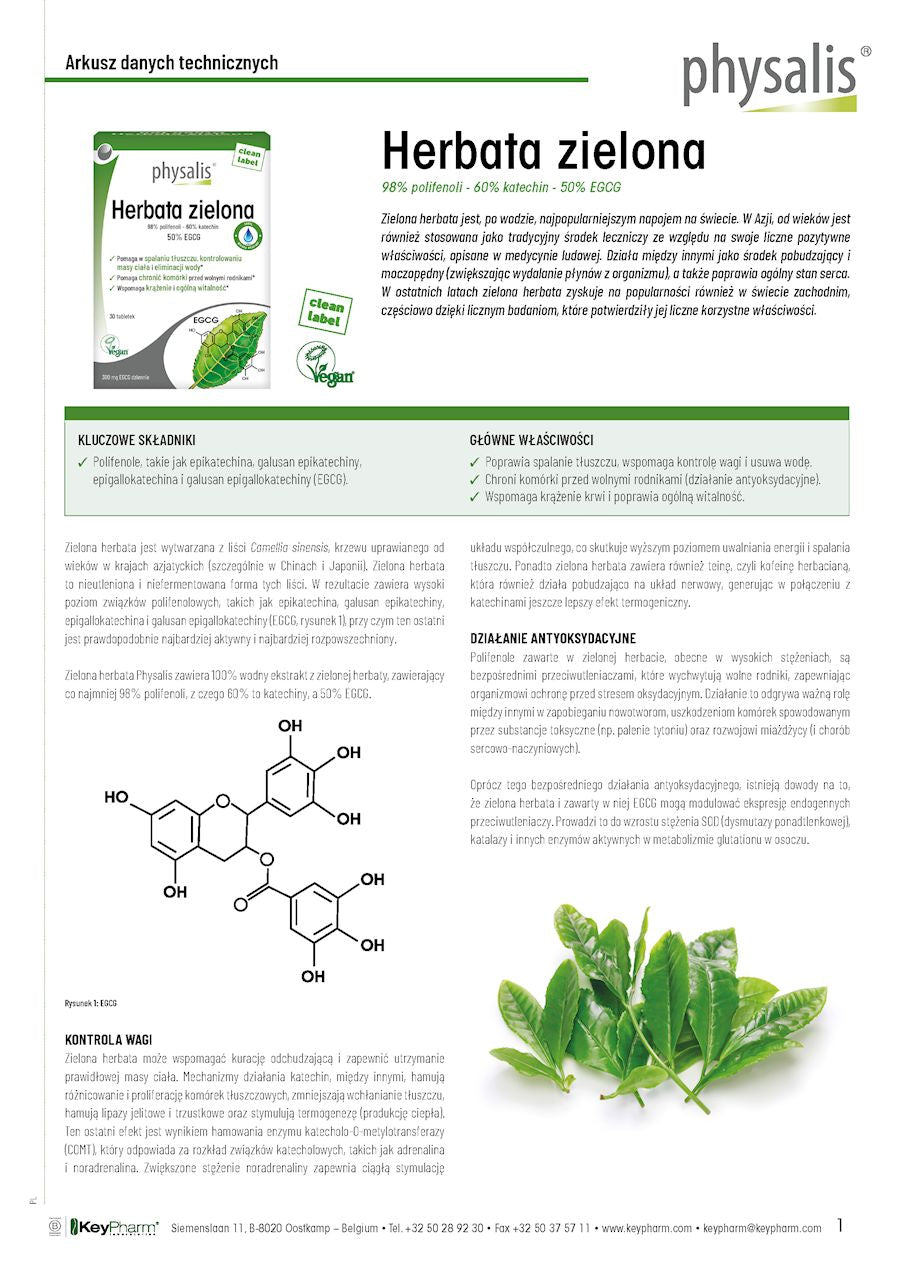 HERBATA ZIELONA EKSTRAKT (600 mg) 30 TABLETEK - PHYSALIS