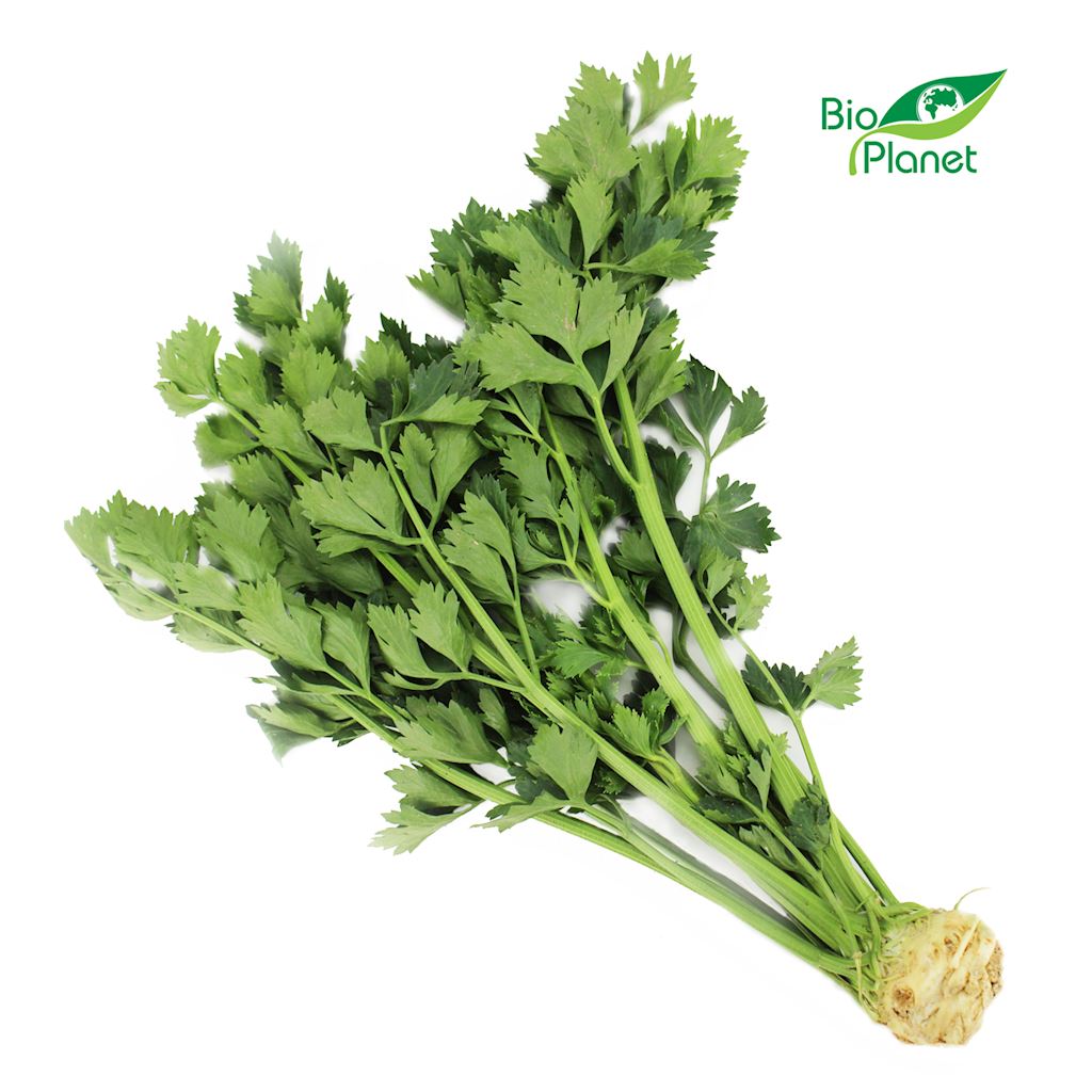SELER Z NACIĄ ŚWIEŻY BIO (POLSKA) (około 0,30 kg)
