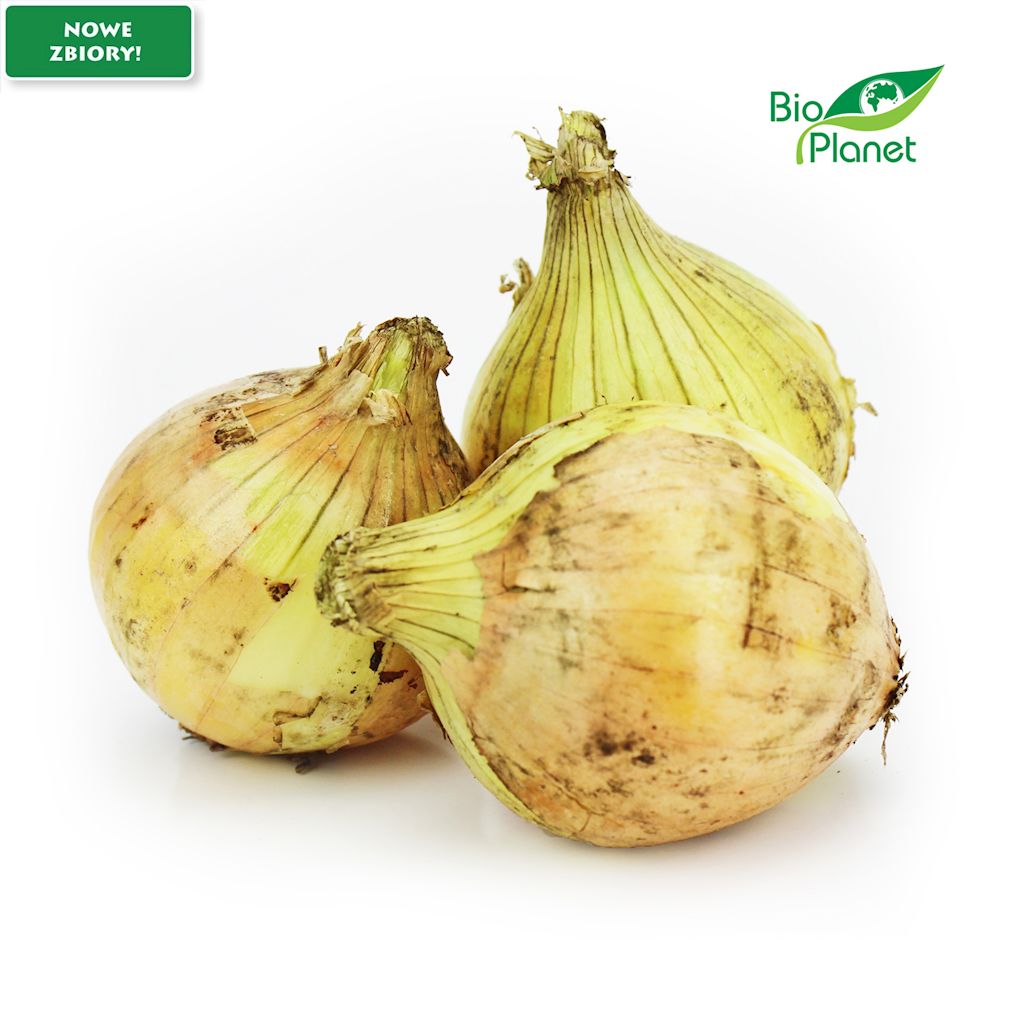 CEBULA ŻÓŁTA ŚWIEŻA BIO (POLSKA) (około 1,00 kg)