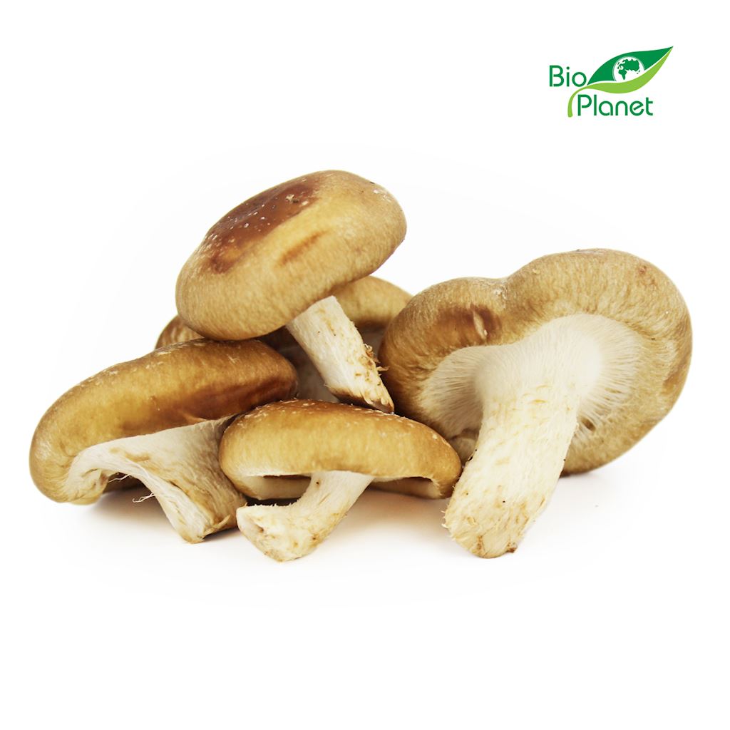 OPAKOWANIE ZBIORCZE (kg) - GRZYBY SHIITAKE ŚWIEŻE BIO (POLSKA)...