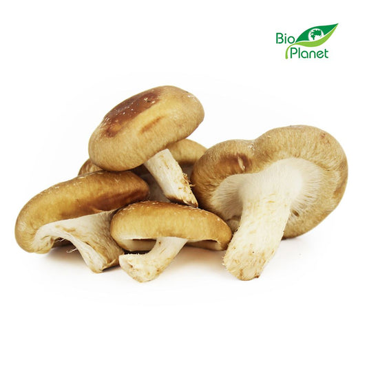 OPAKOWANIE ZBIORCZE (kg) - GRZYBY SHIITAKE ŚWIEŻE BIO (POLSKA)...