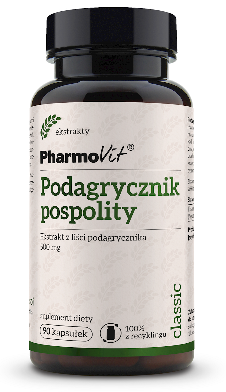 PODAGRYCZNIK POSPOLITY EKSTRAKT (450 mg) BEZGLUTENOWY 90 KAPSUŁEK...