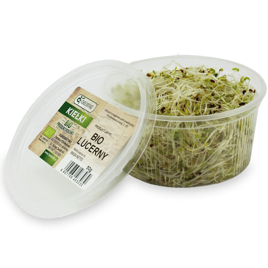 przecena KIEŁKI LUCERNY ŚWIEŻE BIO (około 50 g)