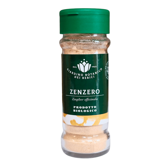 IMBIR MIELONY BIO 30 g - GIARDINO BOTANICO DEI BERICI